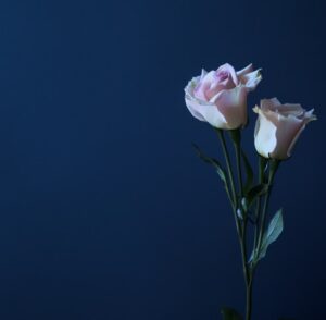 cremation services Cedarburg, WI