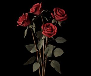 funeral homes Port Washington, WI