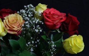 Funeral Homes Port Washington, WI